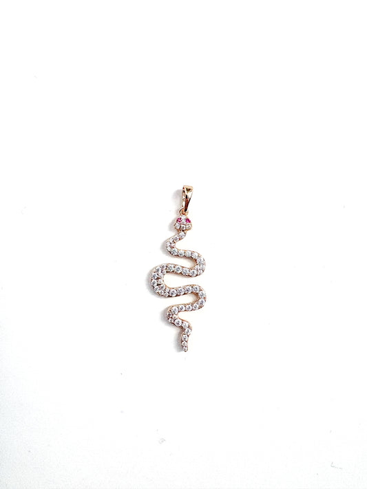Charms big snake