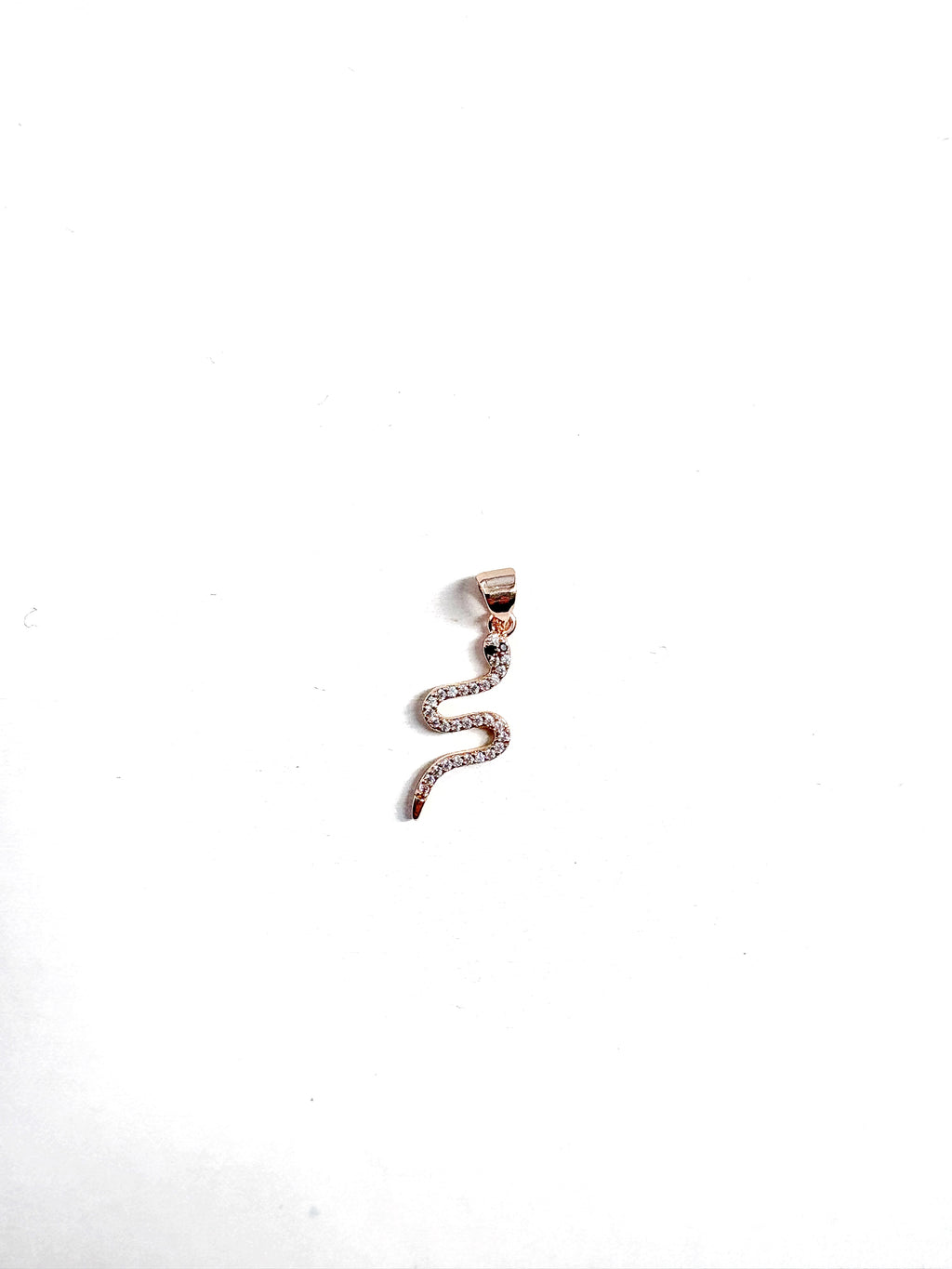 Charms baby snake